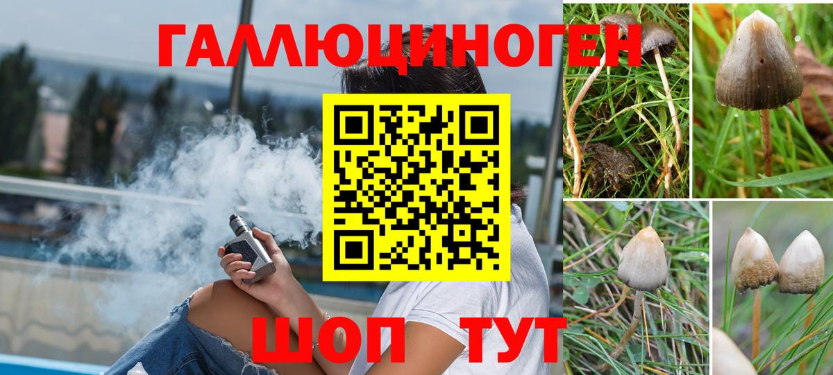 Рославль  Псилоцибиновые грибы GOLDEN TEACHER  Вход с VPN  Галлюциногенные грибы мухоморы 