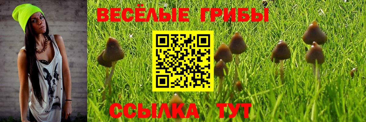 Псилоцибиновые грибы Magic Shrooms Рославль